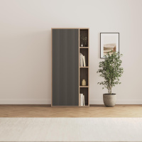 SMARTBett Schrank STA.2.0018 (Serie M2 Tiefe 55cm)...